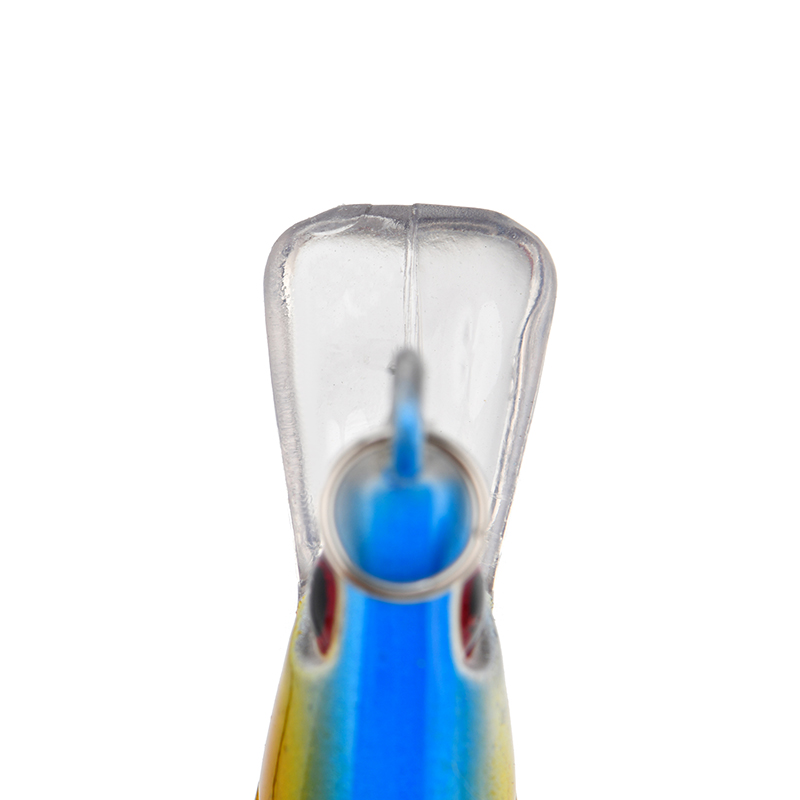 JE 081