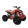 ATV 110cc 4T SA003