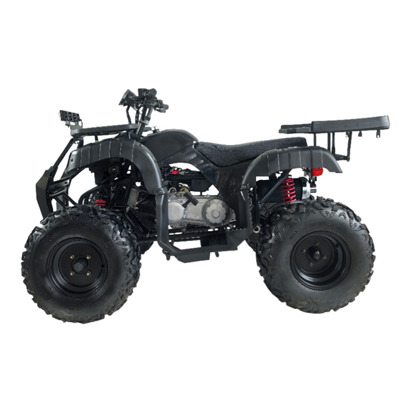 ATV180cc ATA200D 4T SA006 