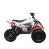ATV 110cc 4T SA016