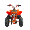 Mini ATV 50cc 2T SA03