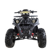 ATV180cc ATA200D 4T SA006 