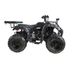 ATV180cc ATA200D 4T SA006 