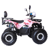 ATV 110cc 4T SA005-6 double tail lights
