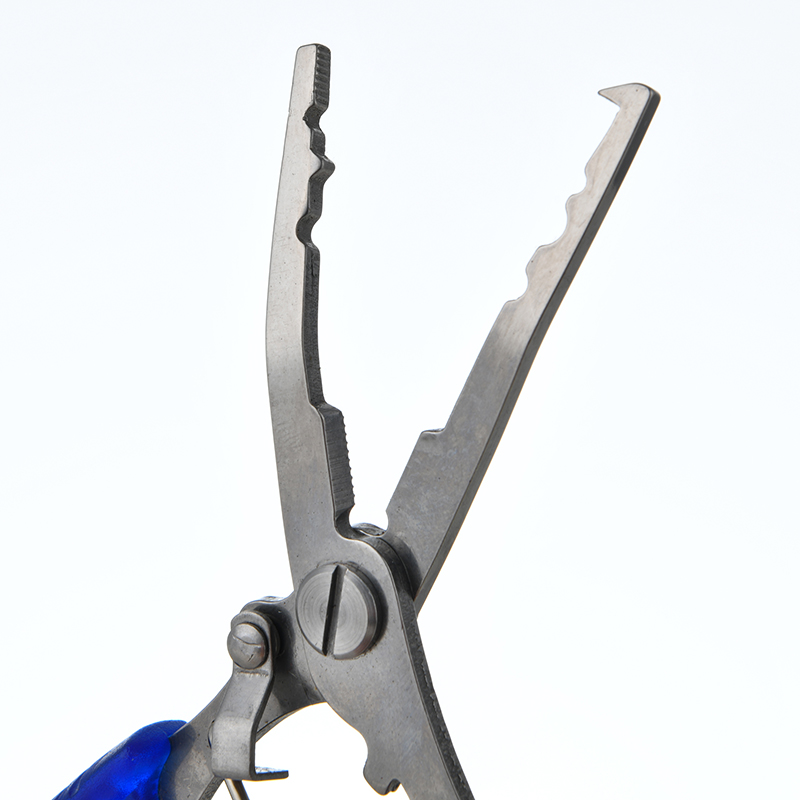 GJ 006