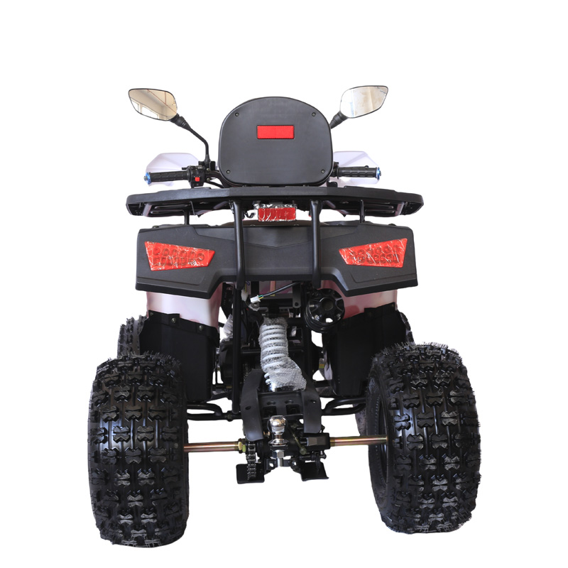 S-125双尾灯 (8)